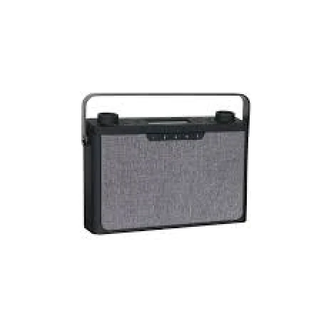 Tangent Pebble Radio zwart